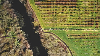 Aerial View of River and Agricultural Fields