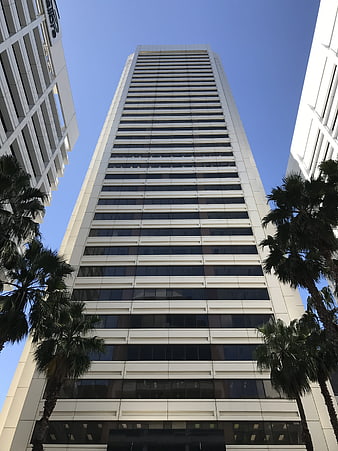 Low angle view of modern skyscraper with palm trees