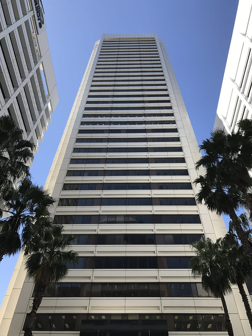 Low angle view of modern skyscraper with palm trees