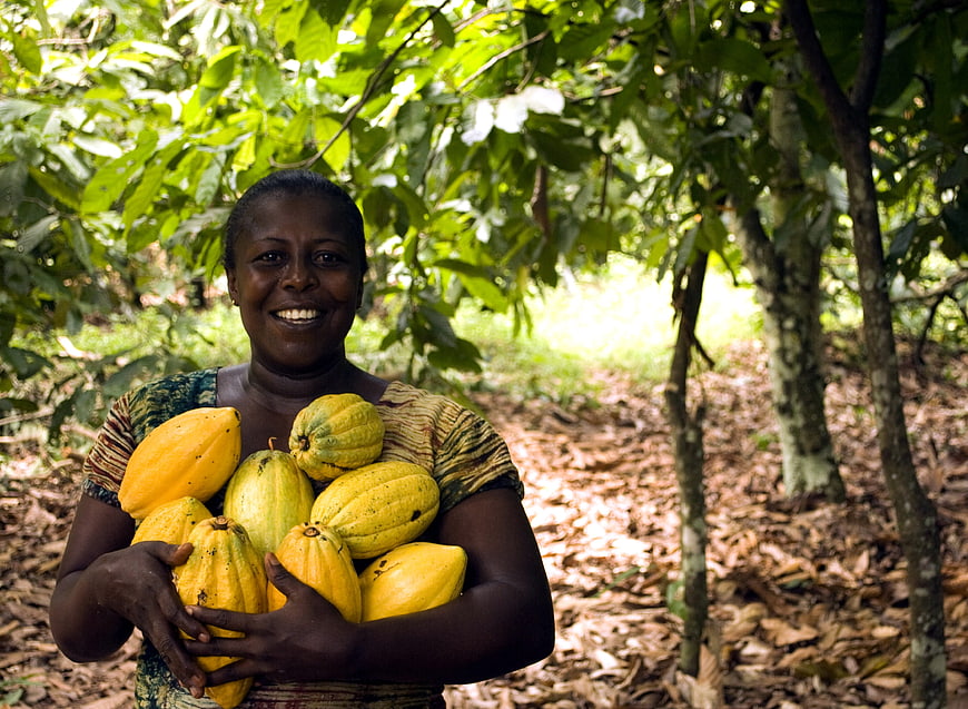 Smiling Female Cocoa Farmer Holding Harvested Pods