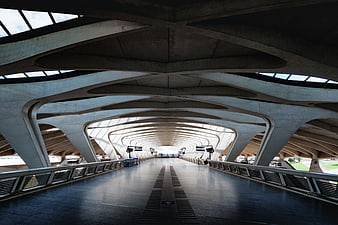 Modern concrete architecture with symmetrical curved ceiling beams