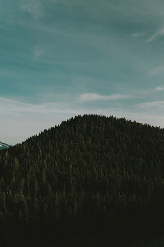 Dark Forested Mountain Hill Under Teal Sky