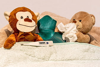 Sick teddy bears with thermometer and tissues in bed