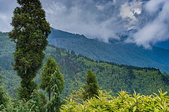 Lush Green Mountain Landscape with Clouds and Trees
