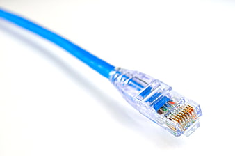 Blue Ethernet Cable Connector Close-Up on White Background