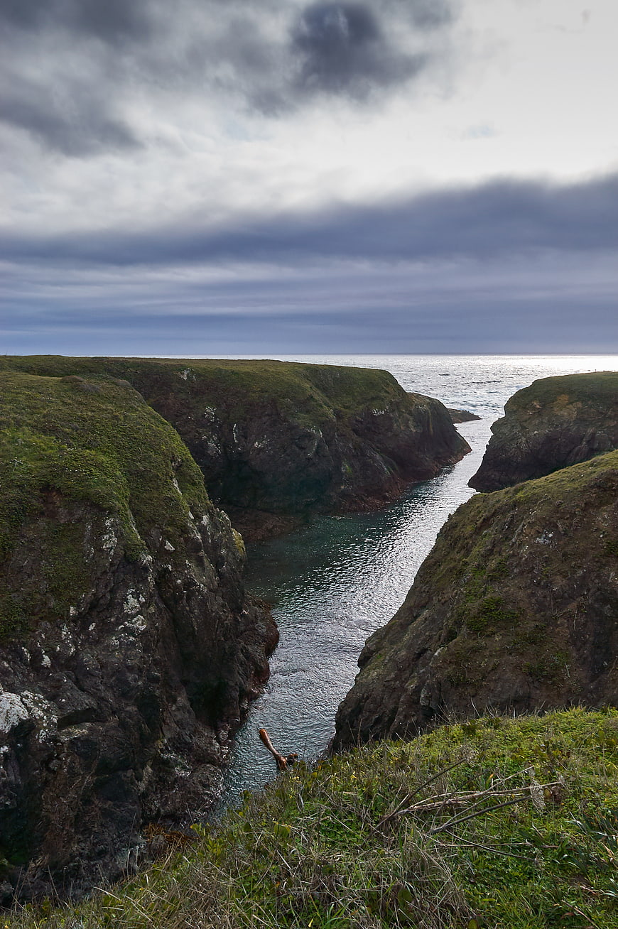 Dramatic coastal landscape with grassy cliffs and ocean inlet