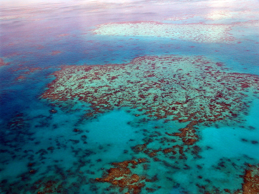 Aerial View of Great Barrier Reef Coral Formations in Turquoise Water