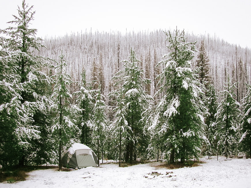 Winter Camping Tent in Snowy Pine Forest Landscape
