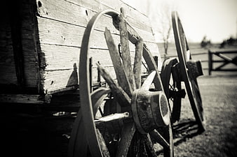 Vintage Wooden Wagon Wheels in Black and White