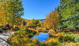 Serene Autumn Pond Surrounded by Golden Trees and Mountains