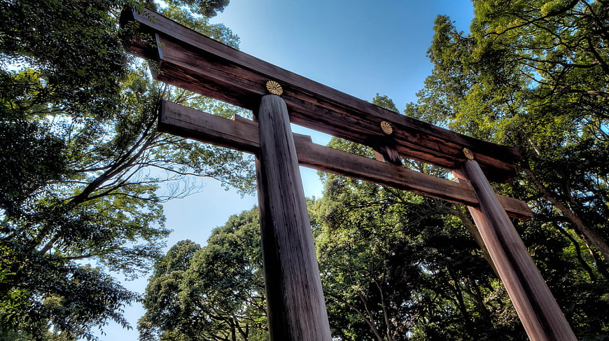 Low Angle View of Wooden Torii Gate in Forest