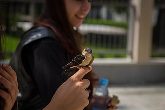 Small bird perched on woman's finger outdoors