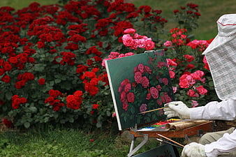 Artist painting red roses in a garden