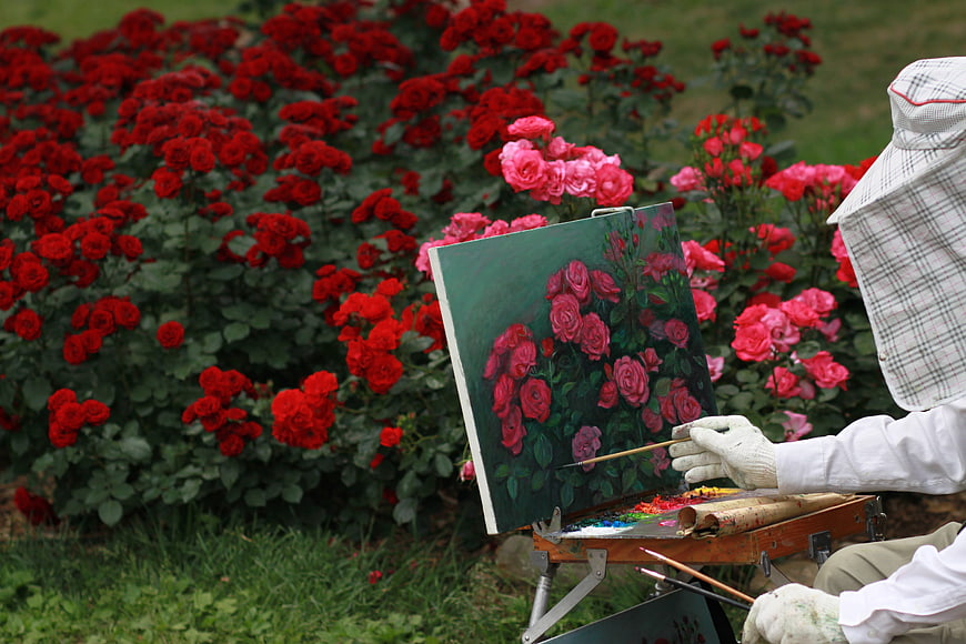 Artist painting red roses in a garden