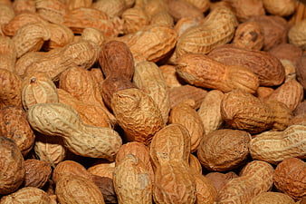Close-up of raw peanuts in shells texture background