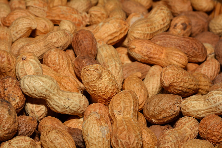 Close-up of raw peanuts in shells texture background