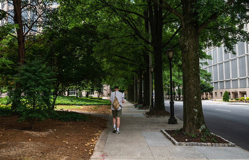Man walking down tree-lined urban sidewalk