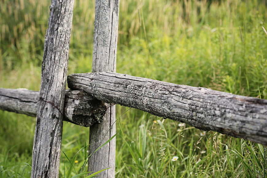 Weathered wooden fence post in green grassy field