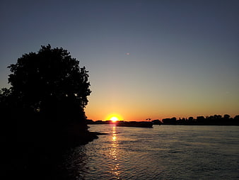 Silhouette of Tree and Barge on River at Sunset