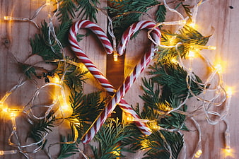 Candy Canes Forming Heart with Christmas Lights and Pine
