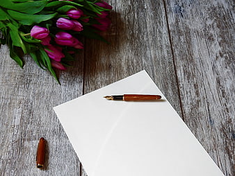 Pink Tulips and Fountain Pen on White Paper