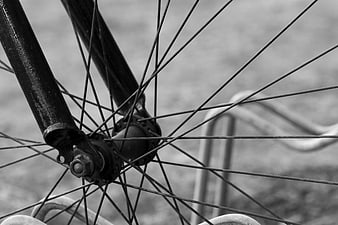 Close-up of Bicycle Wheel Spokes and Fork in Black and White