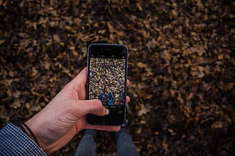 Hand holding smartphone taking photo of autumn leaves