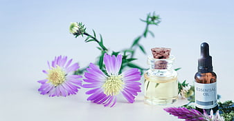 Aster flowers and essential oil bottles on a light blue background