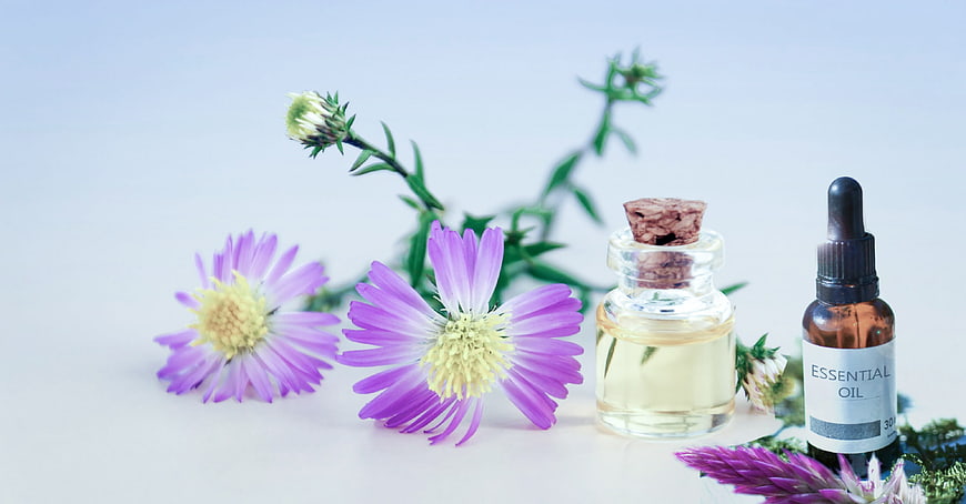 Aster flowers and essential oil bottles on a light blue background