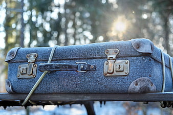 Vintage Frosty Blue Suitcase in Winter Forest Sunlight