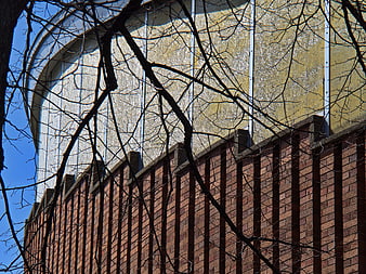 Modern curved building facade with brick wall and bare branches