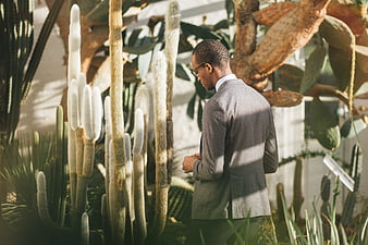 Man in Suit Standing Among Cacti in Sunlit Garden
