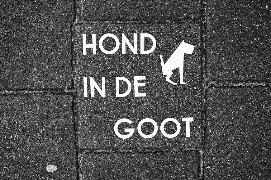 Black and white pavement sign with dog icon and Dutch text Hond in de Goot