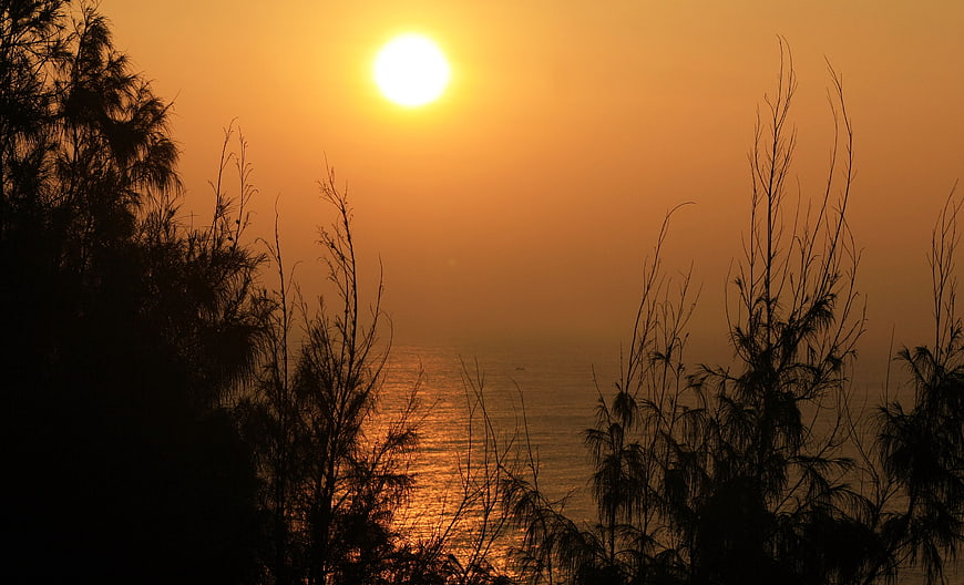 Sunrise Silhouette Over Ocean With Coastal Vegetation