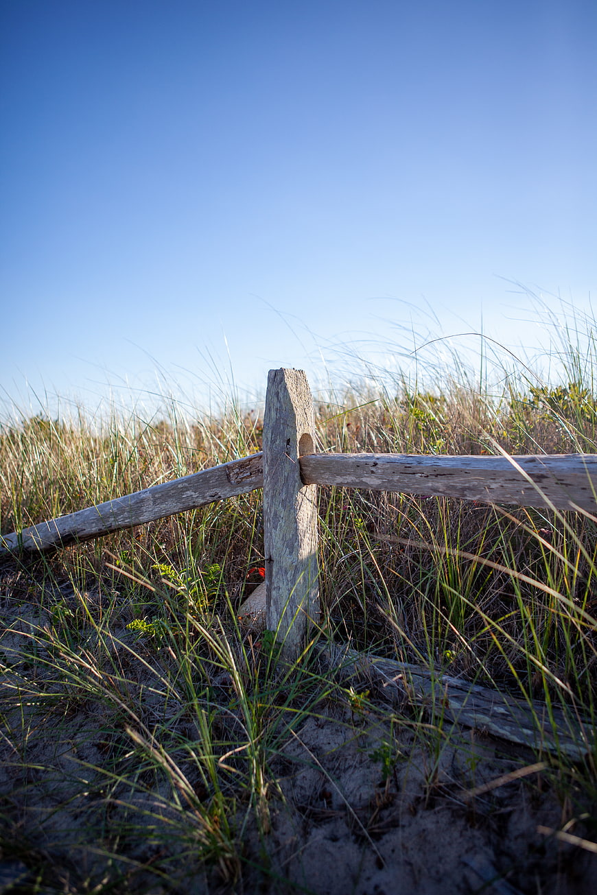 Weathered wooden fence post in coastal dune grass