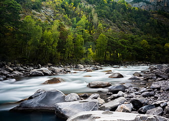 Serene Mountain Stream Flowing Over Rocks in Forest