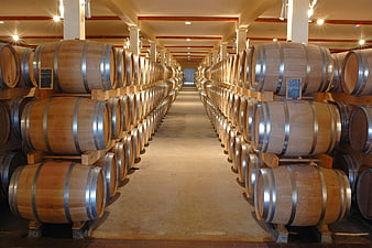 Rows of oak wine barrels in a spacious cellar