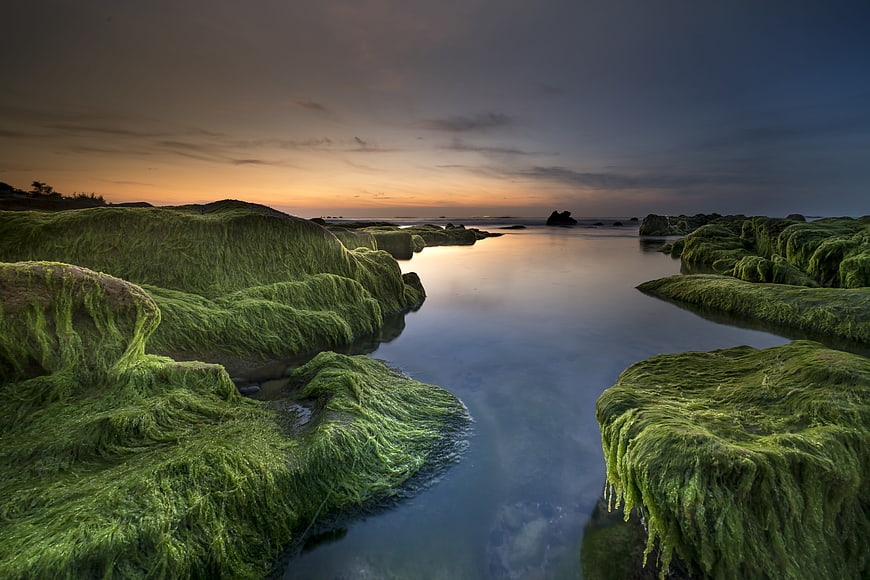 Mossy Rocks and Smooth Water at Sunset