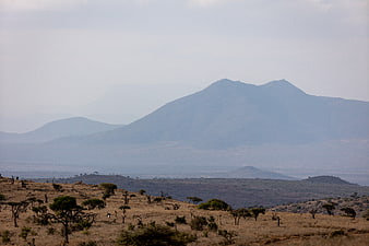 Savannah landscape with distant mountains and acacia trees