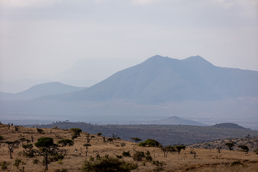 Savannah landscape with distant mountains and acacia trees