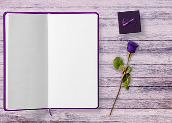 Purple Notebook, Gift Box, and Rose on Wooden Background