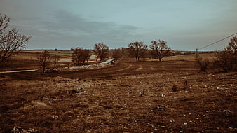 Rustic Italian countryside landscape with bare trees and dirt road