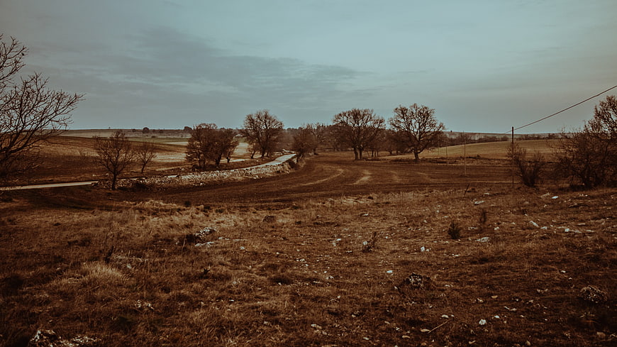 Rustic Italian countryside landscape with bare trees and dirt road