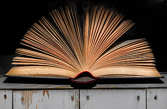 Open Book with Fanned Pages on Rustic Wooden Surface