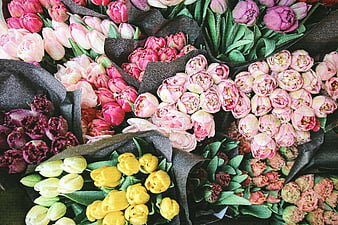 Colorful Tulip Bouquets Wrapped in Black Paper