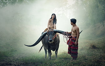 Asian couple riding water buffalo in misty countryside