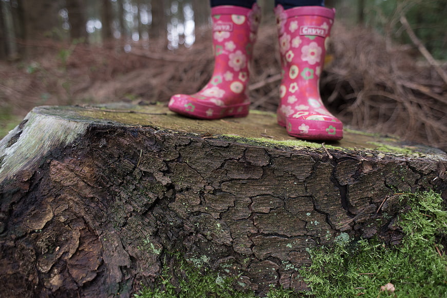 Child in Pink Floral Boots Standing on Mossy Tree Stump