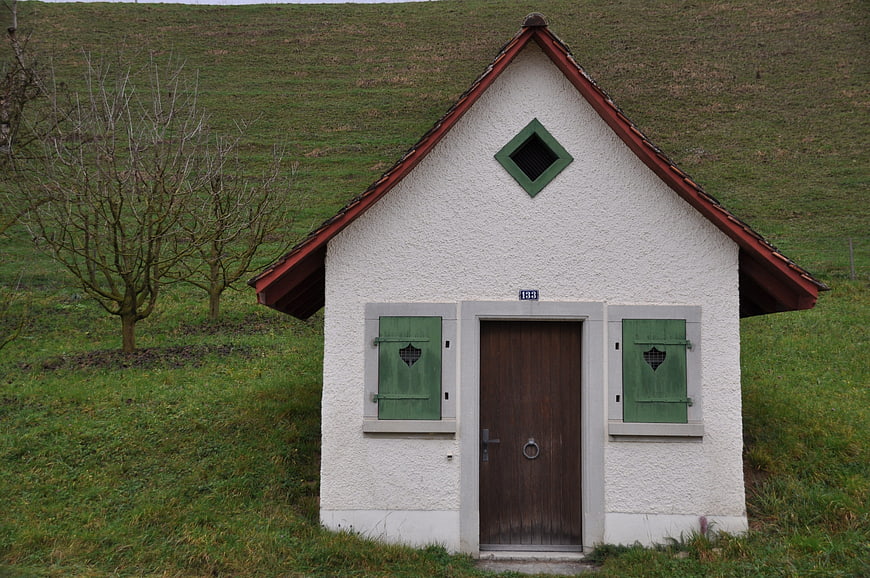 Small white house with green shutters in a grassy field