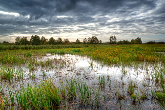Dramatic cloudy sky over wetland marsh with water reflections
