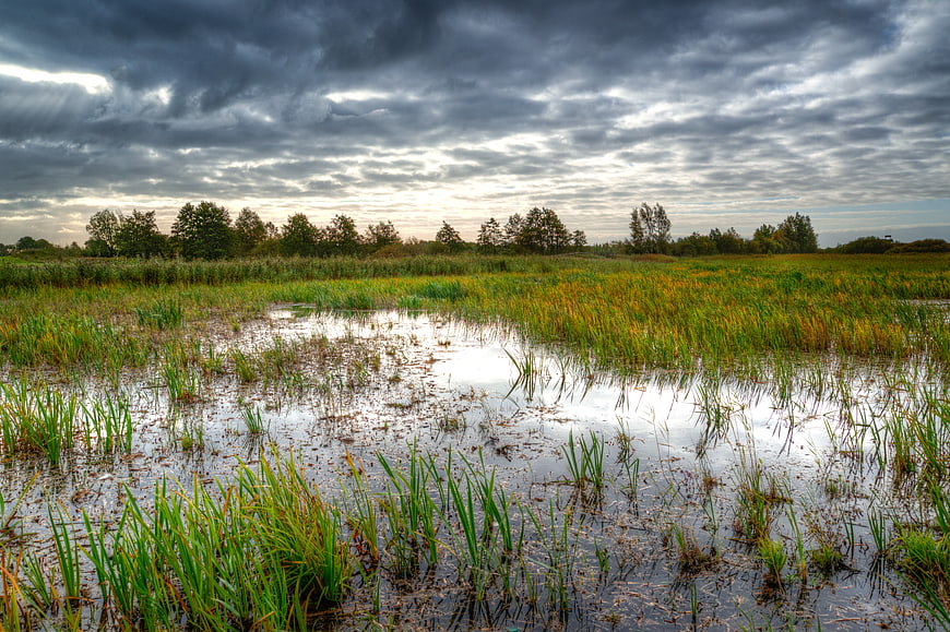 Dramatic cloudy sky over wetland marsh with water reflections